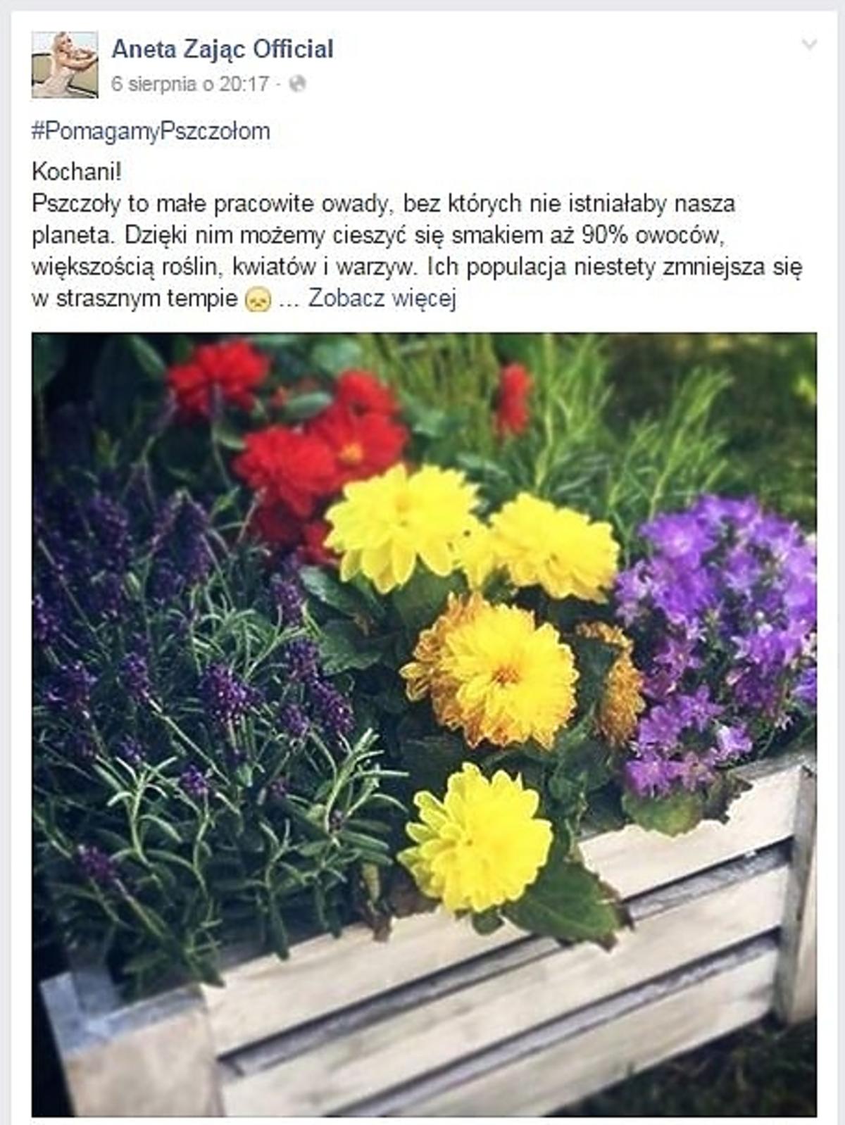 Aneta Zając