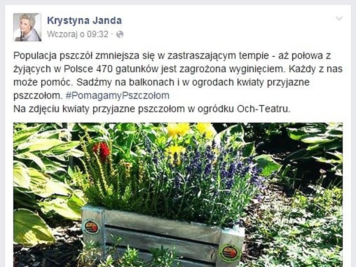 Krystyna Janda
