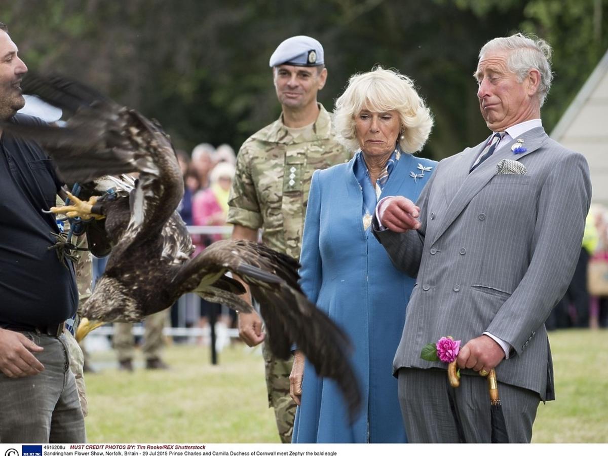 Książe Karol, Camilla i orzeł