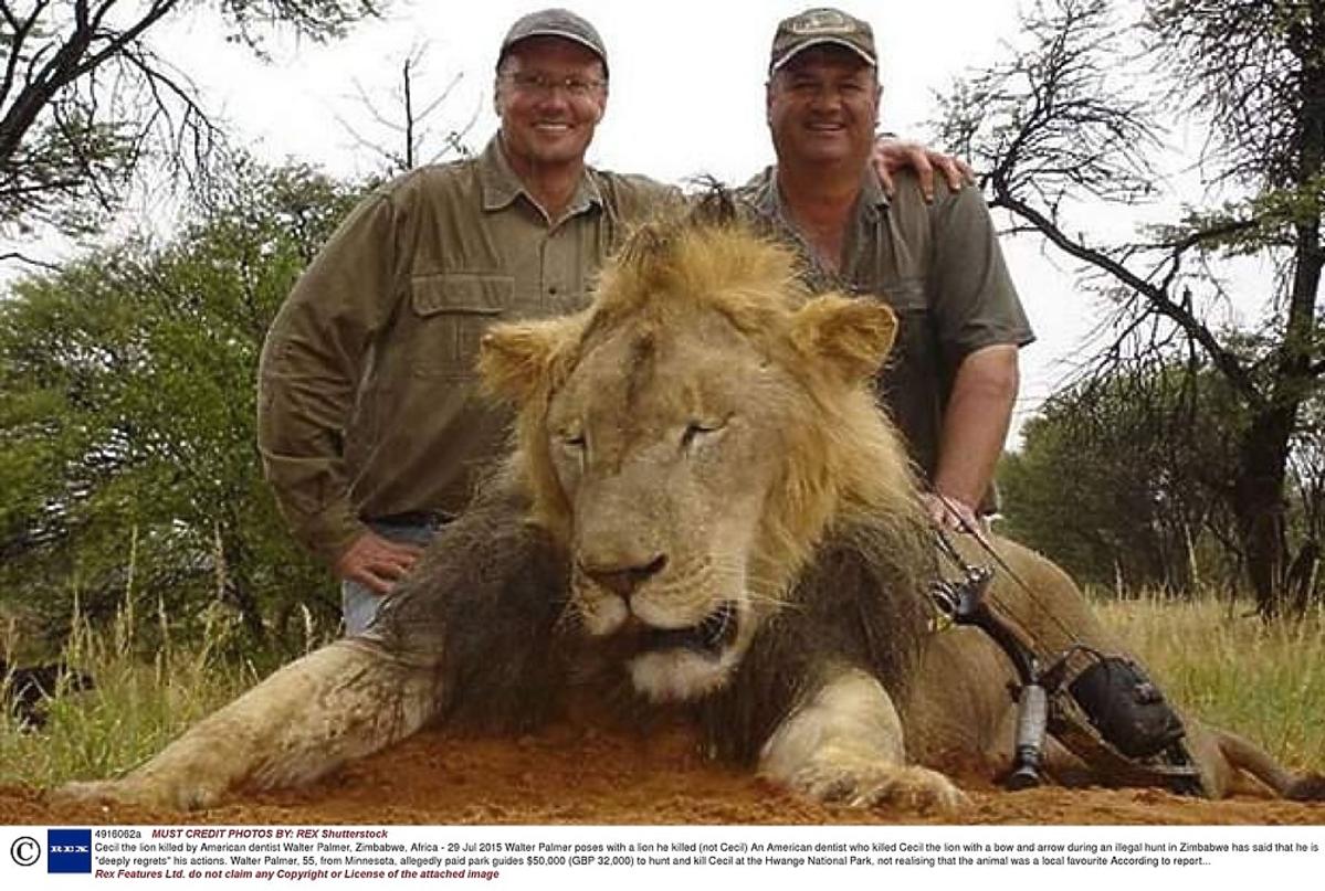 Lew Cecil, Walter Palmer
