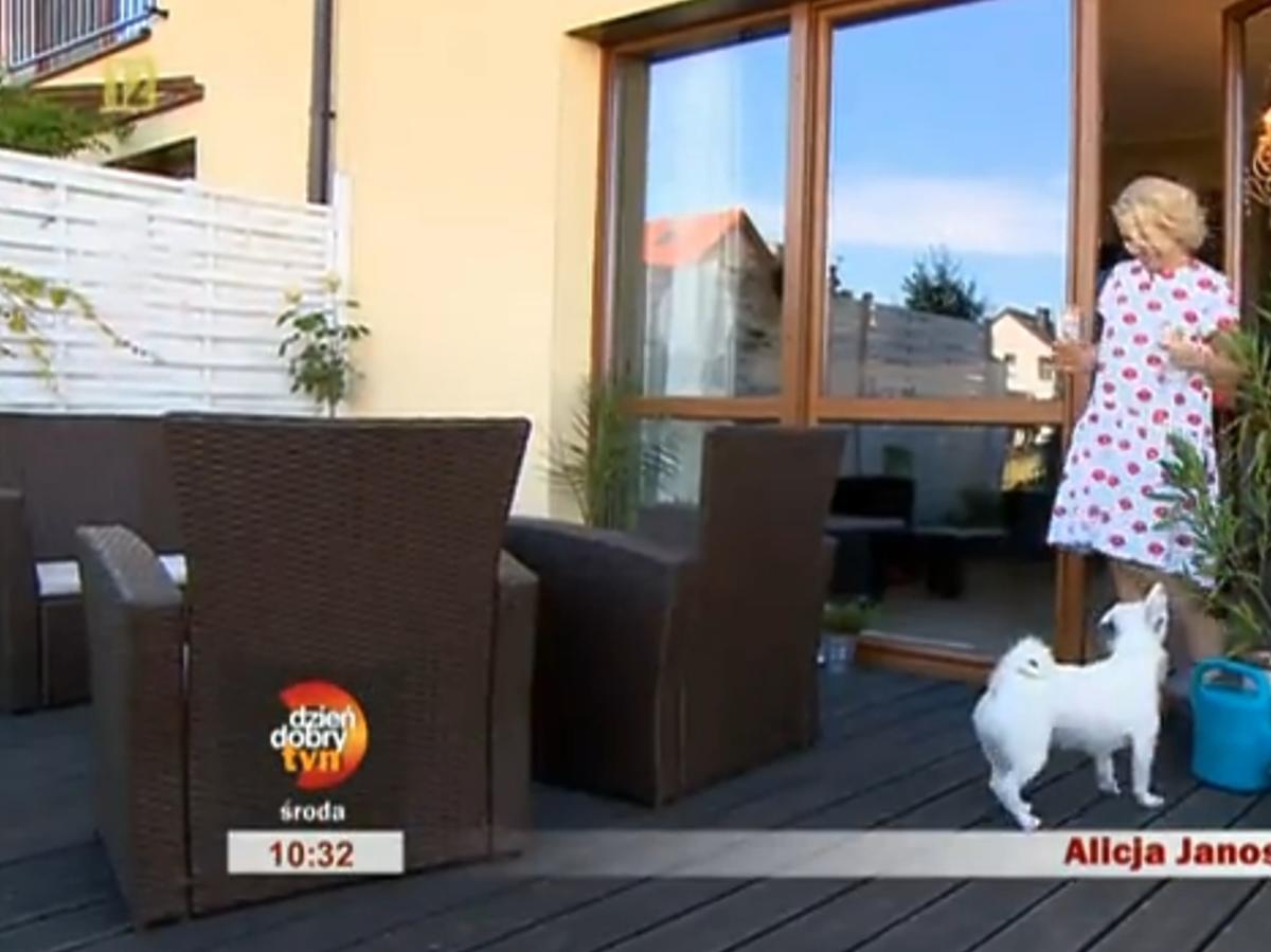 Alicja Janosz pokazała dom w Dzień Dobry TVN