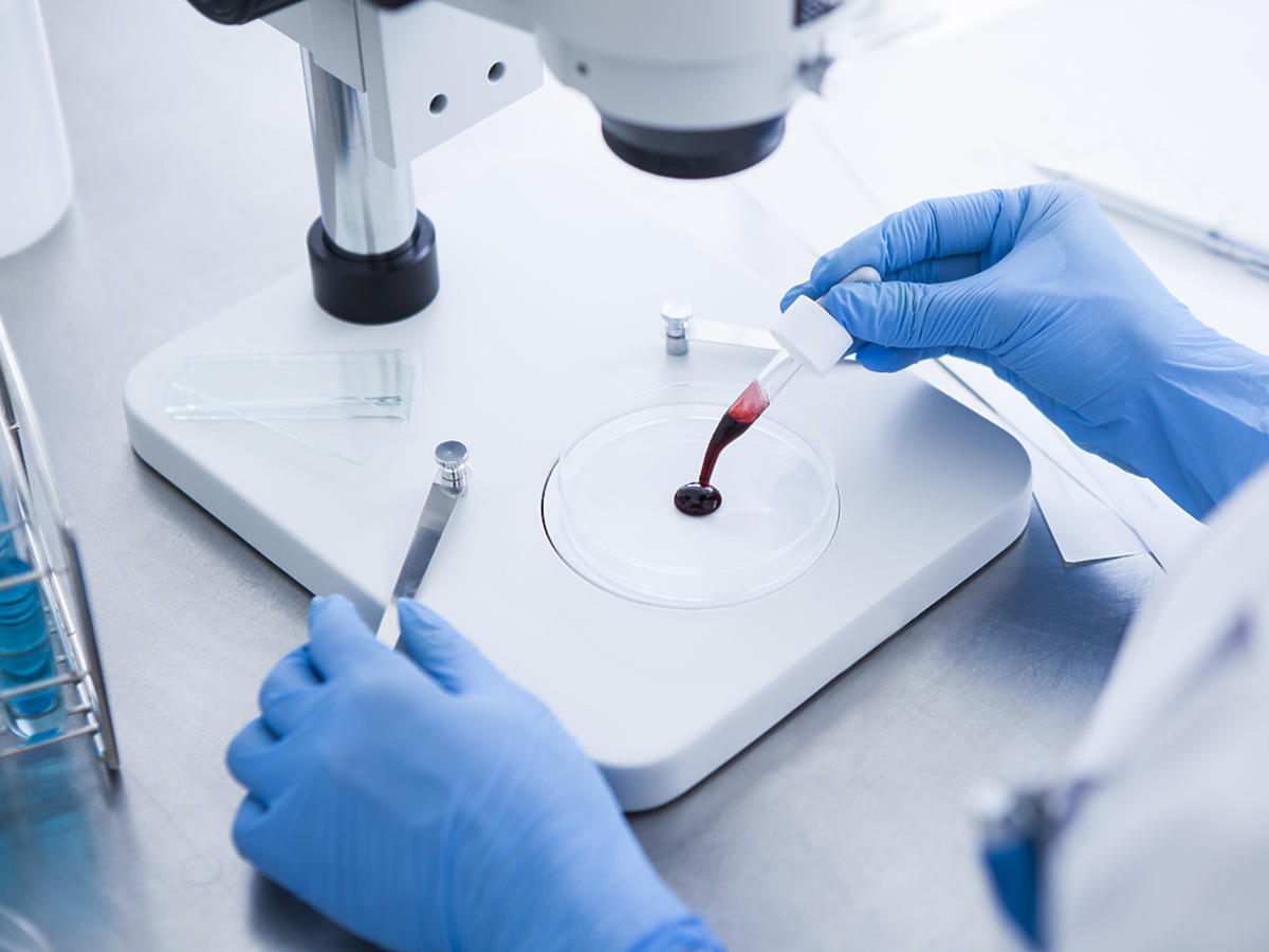 analiza próbki krwi w laboratorium