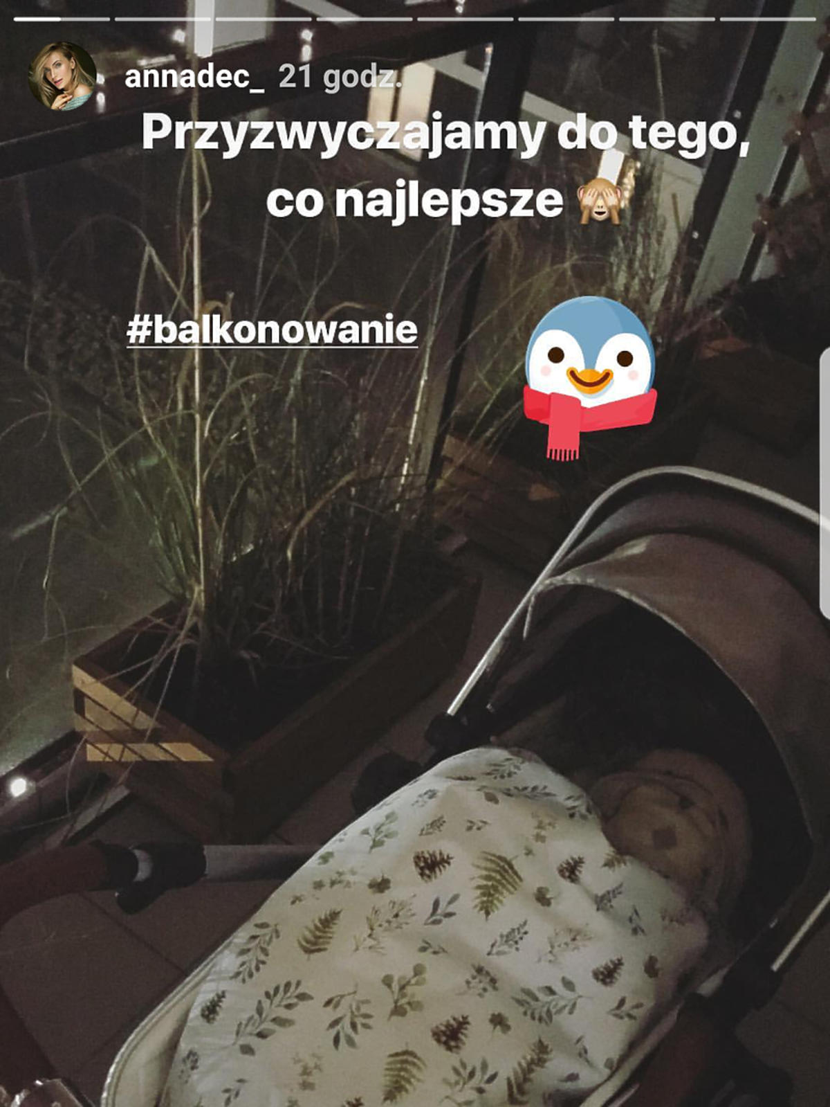 Anna Dec pokazała wózek dziecka