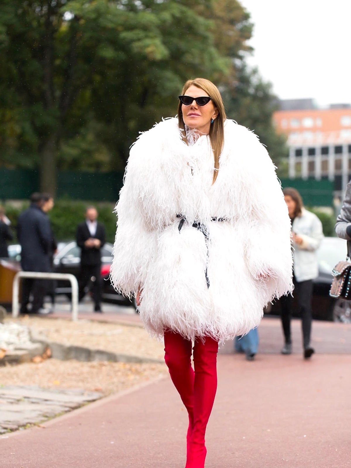 Anna Dello Russo na paryskim tygodniu mody, październik 2017