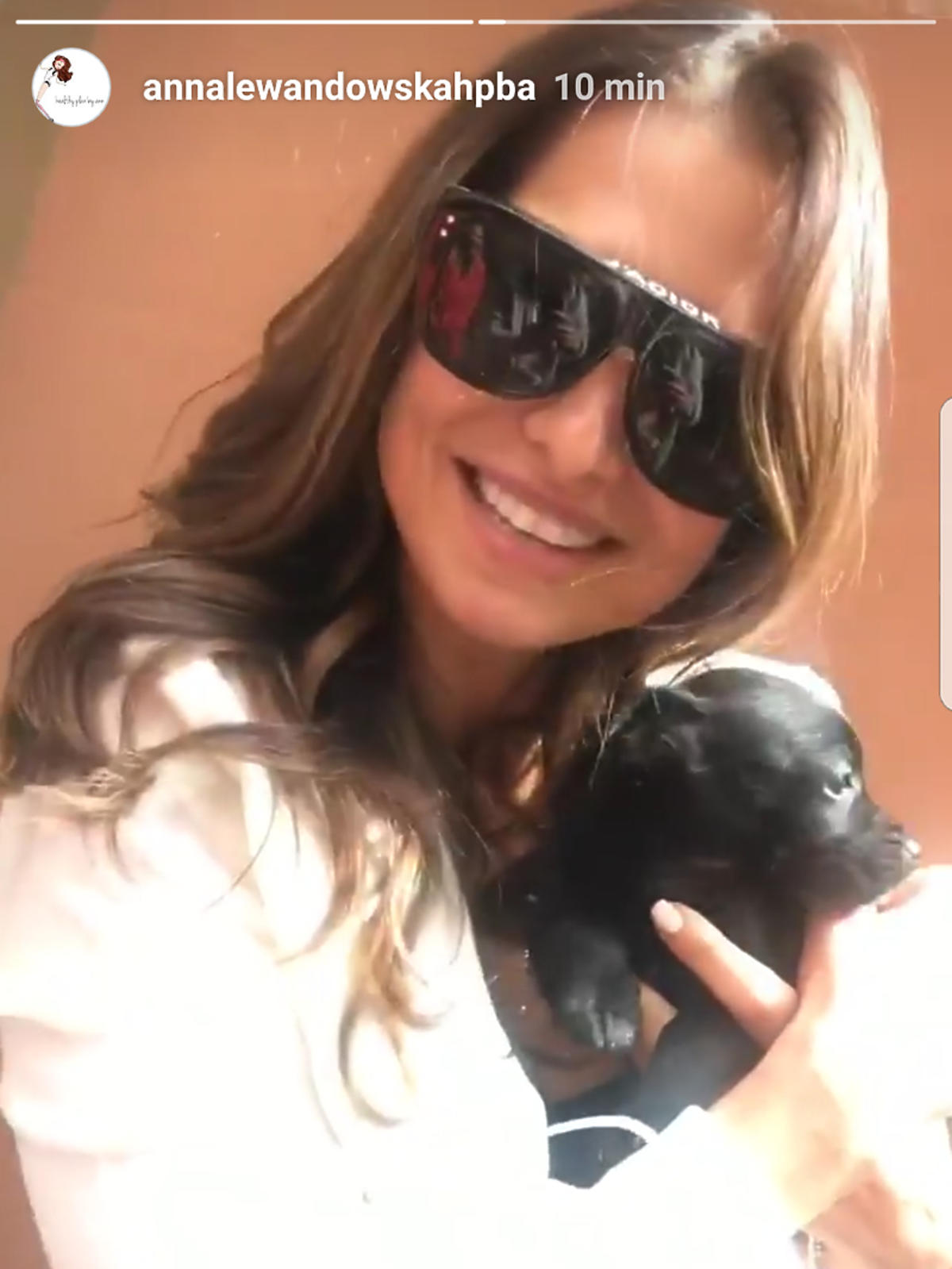 Anna Lewandowska kupiła psa?