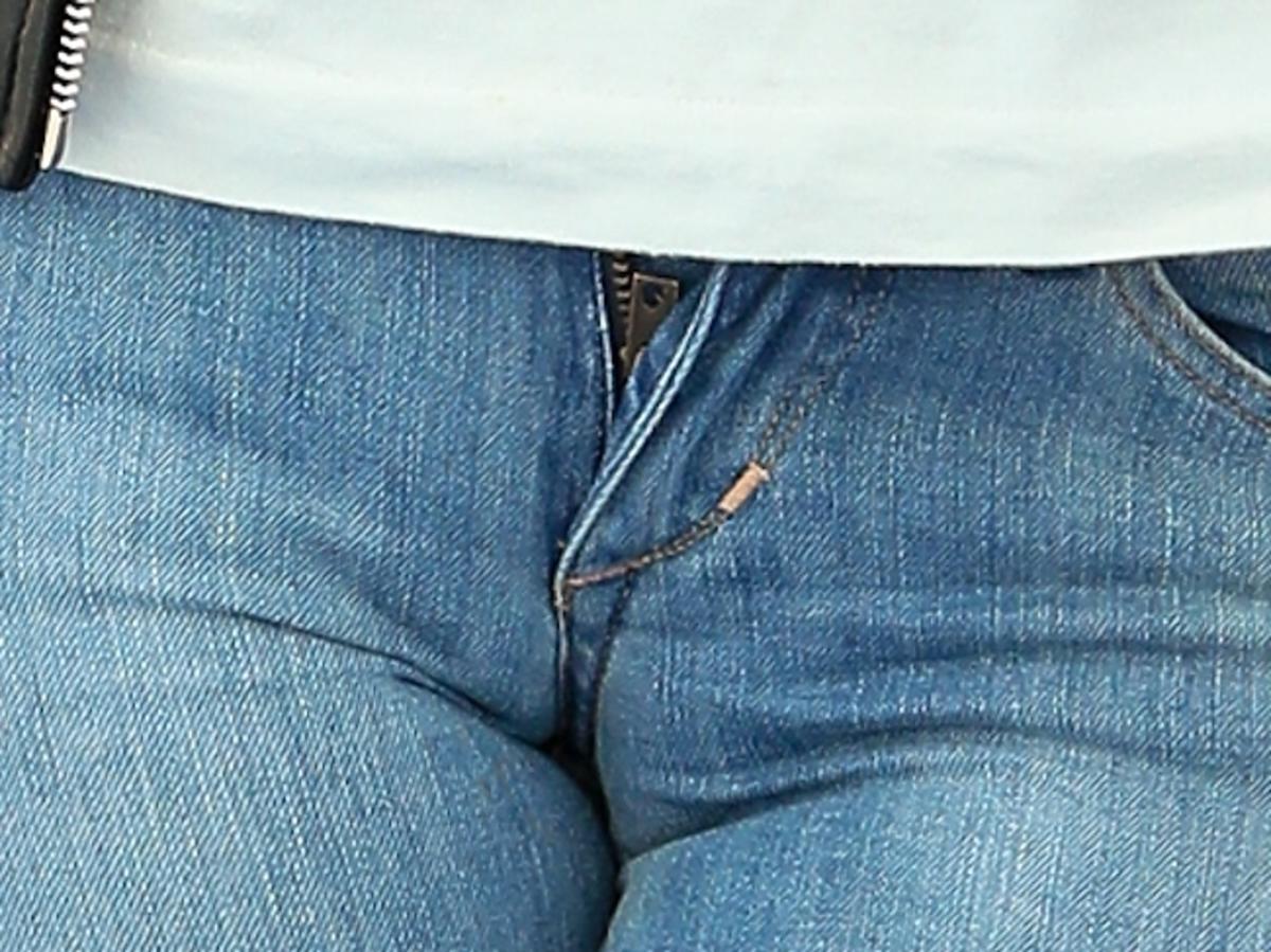 Camel Toe Ani Muchy