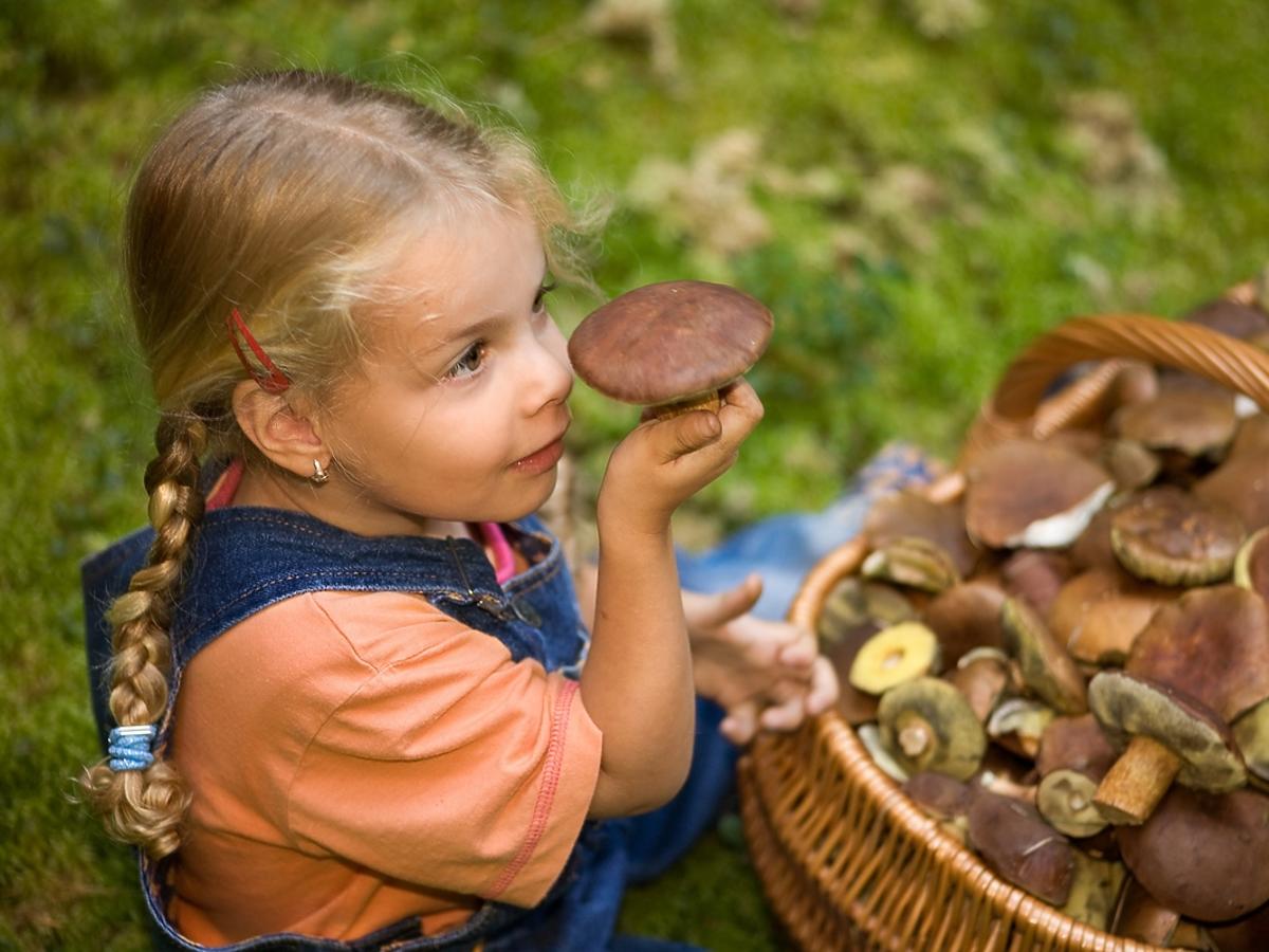 Czy dzieci mogą jeść grzyby?