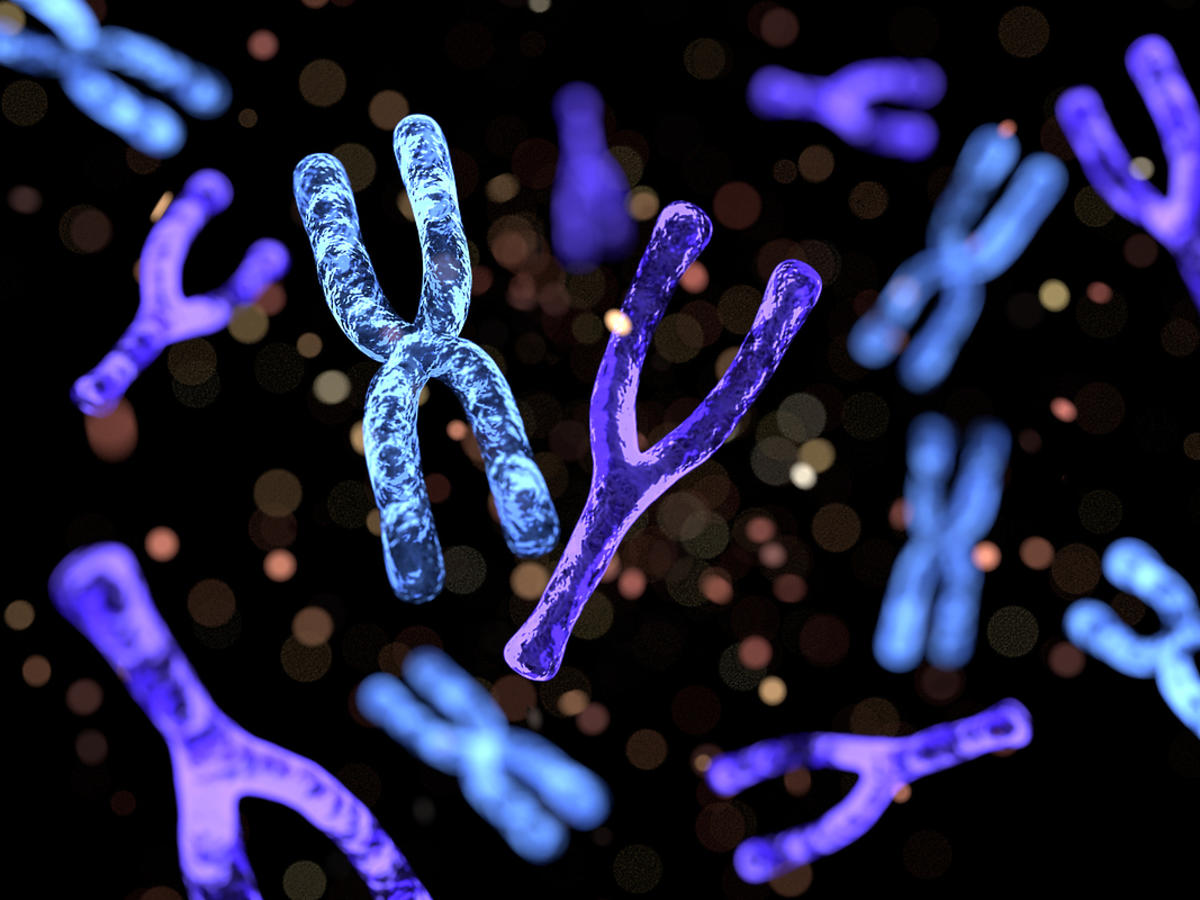 Czym są chromosomy?