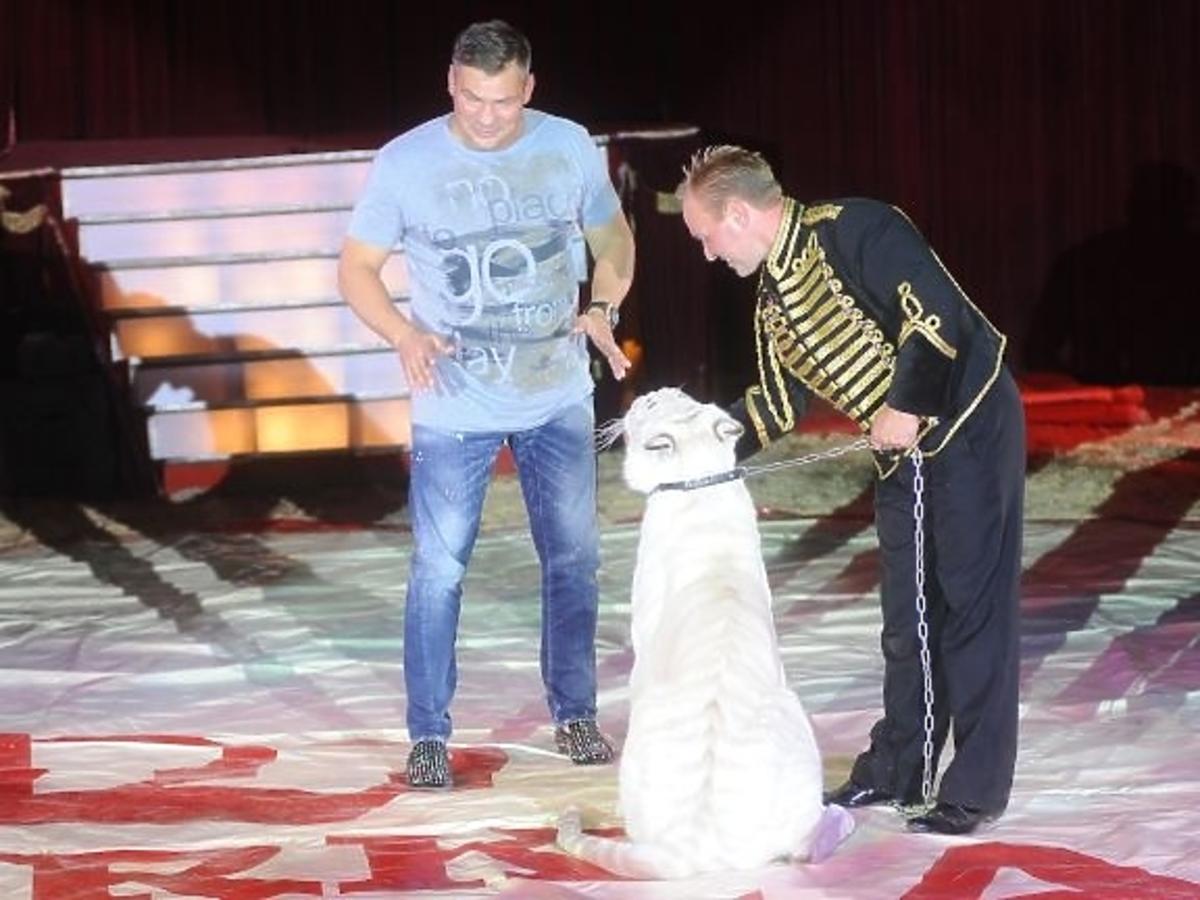 Dariusz Michalczewski na IV Międzynarodowym Festiwalu Talentów Cyrku Korona