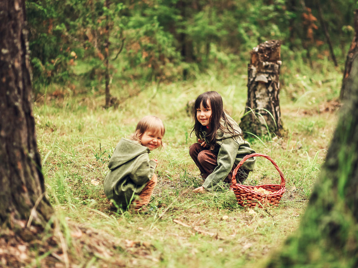 Dzieci zbierają grzyby w lesie.