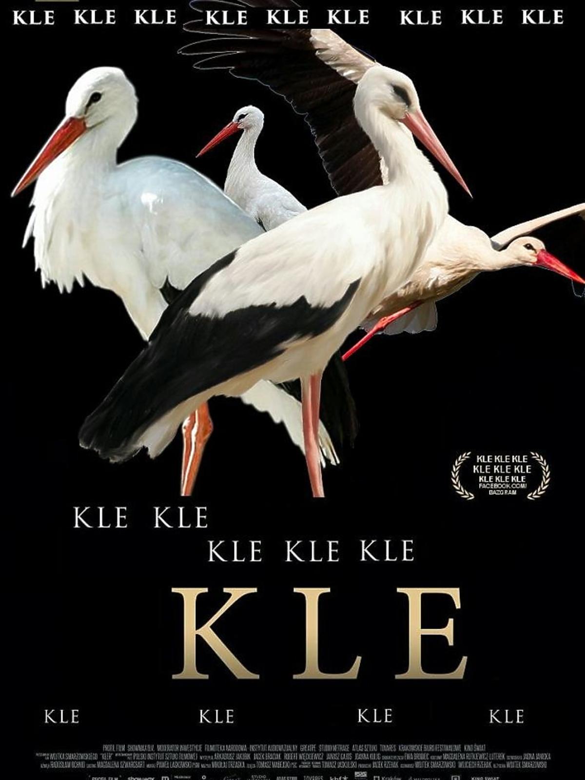 Film Kler memy