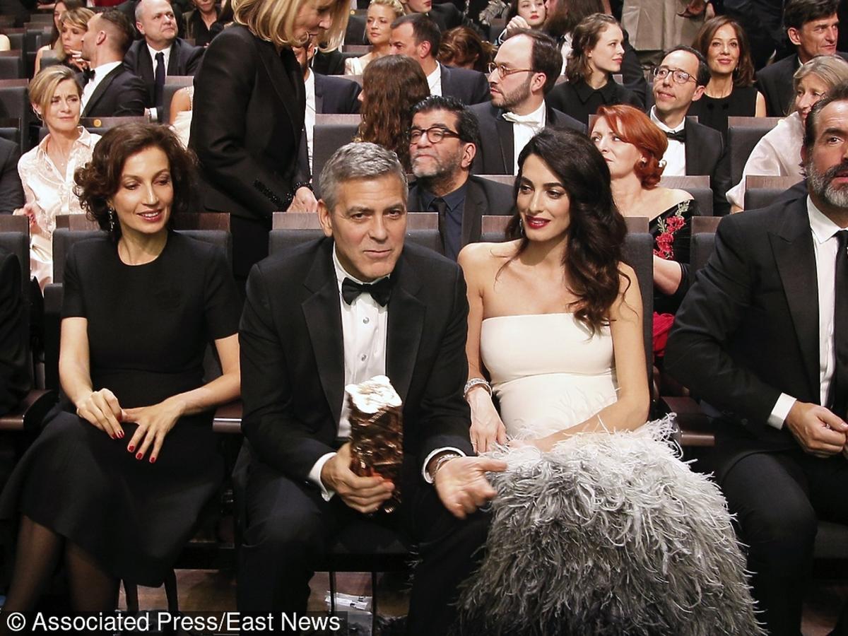 George Clooney w muszce