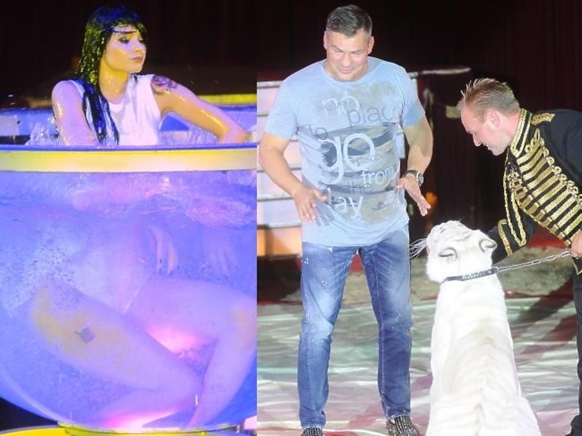Gwiazdy na IV Międzynarodowym Festiwalu Talentów Cyrku Korona