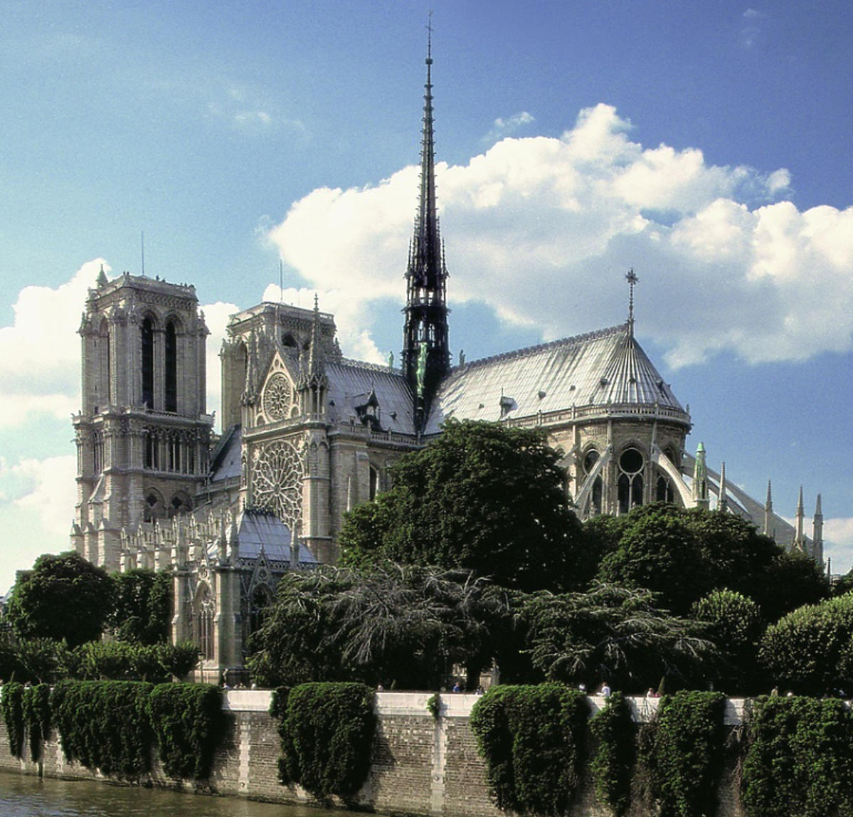 katedra Notre Dame została podpalona?