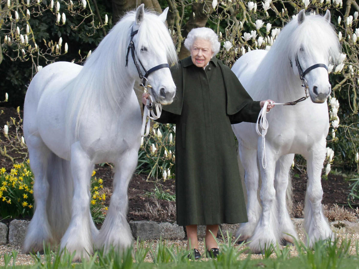 Królowa Elżbieta II na zdjęciu oficjalnym z okazji 96. rocznicy urodzin