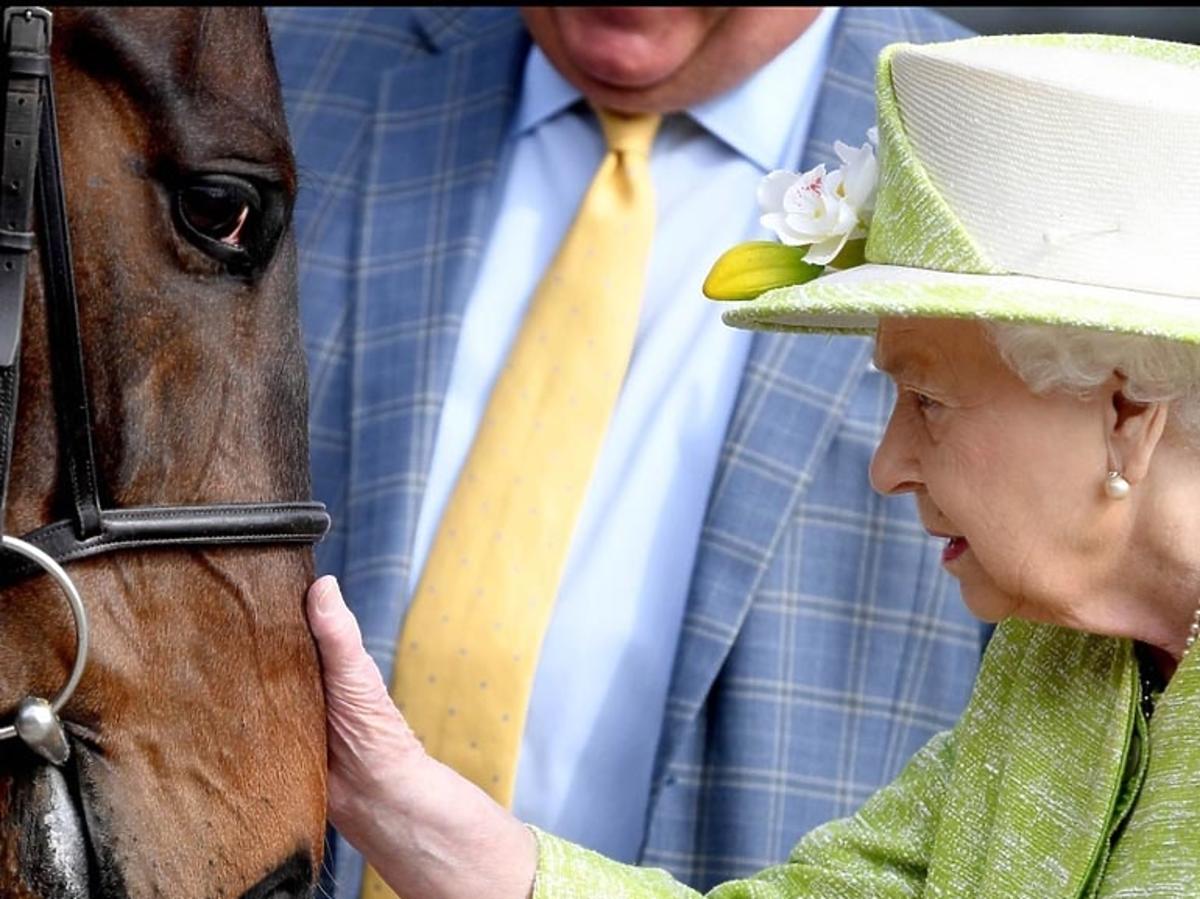 królowa Elżbieta II z koniem
