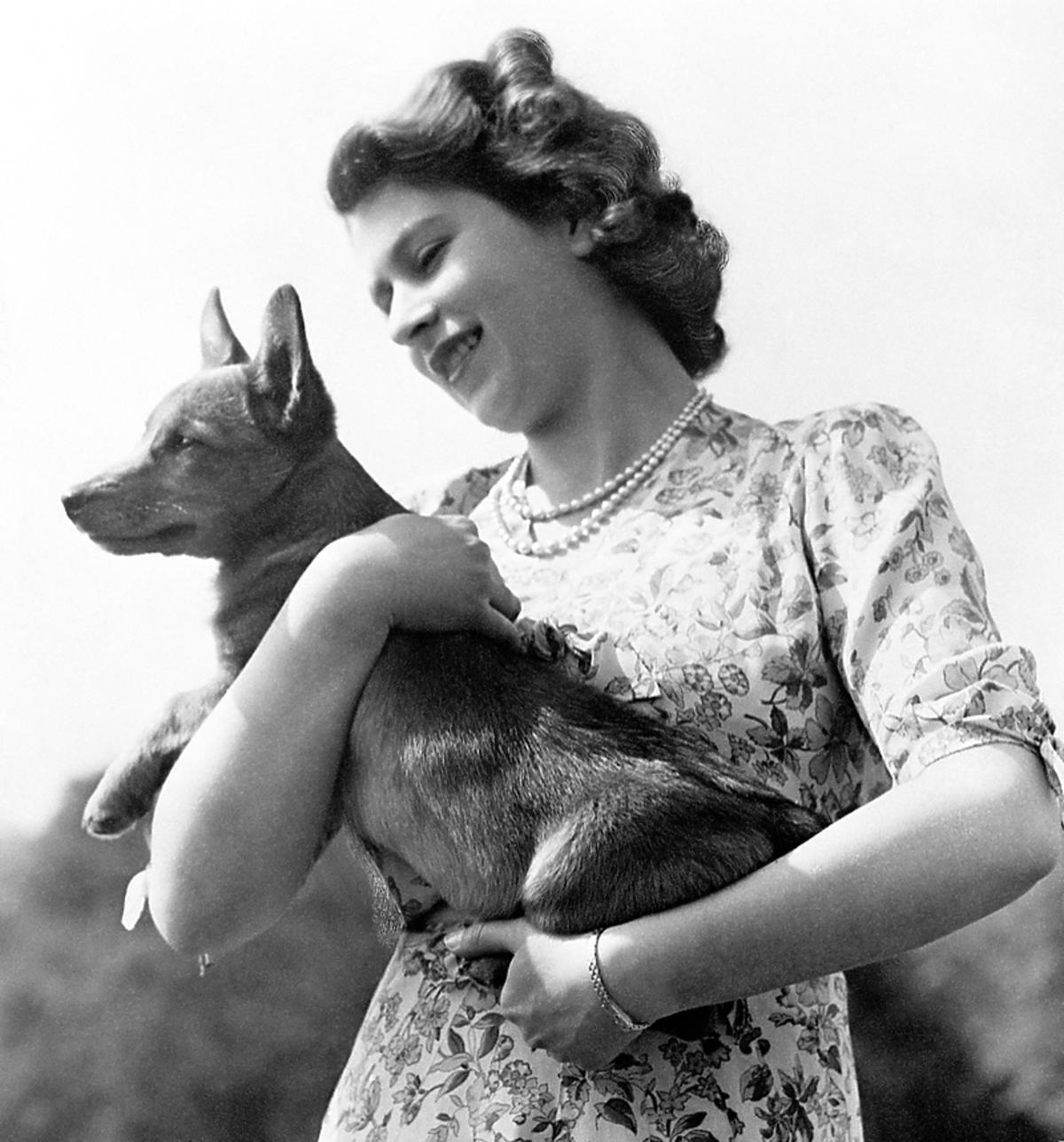 Królowa Elżbieta II z psem rasy corgi