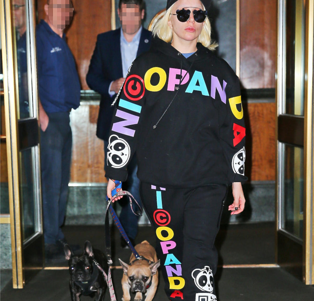 Lady Gaga z psami