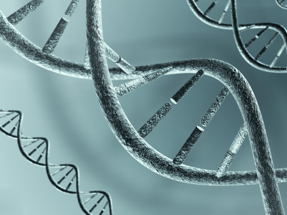 łańcuch DNA
