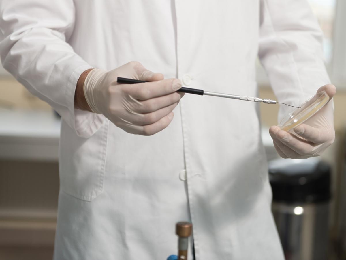 Lekarz w laboratorium