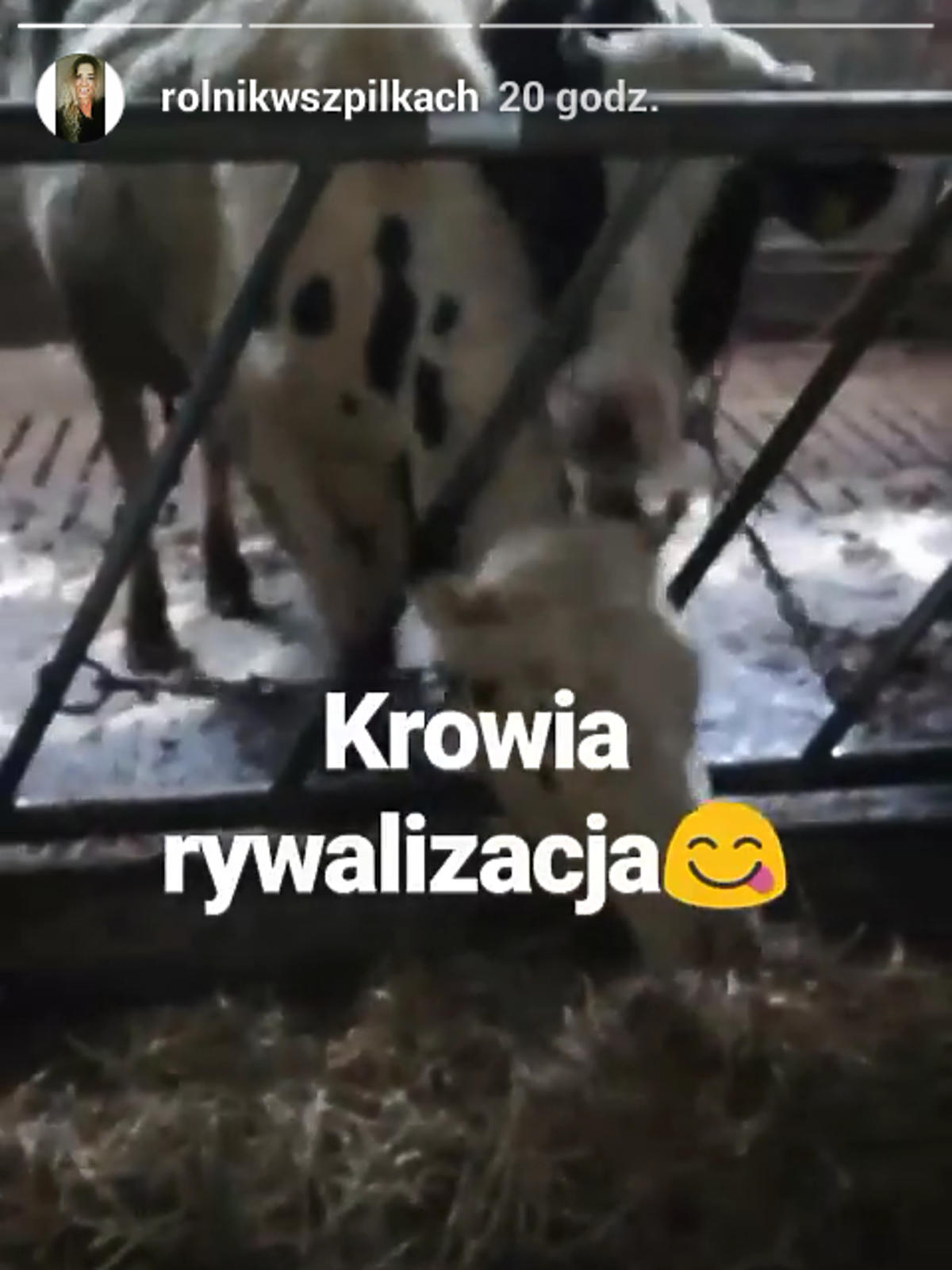 Małgorzata z