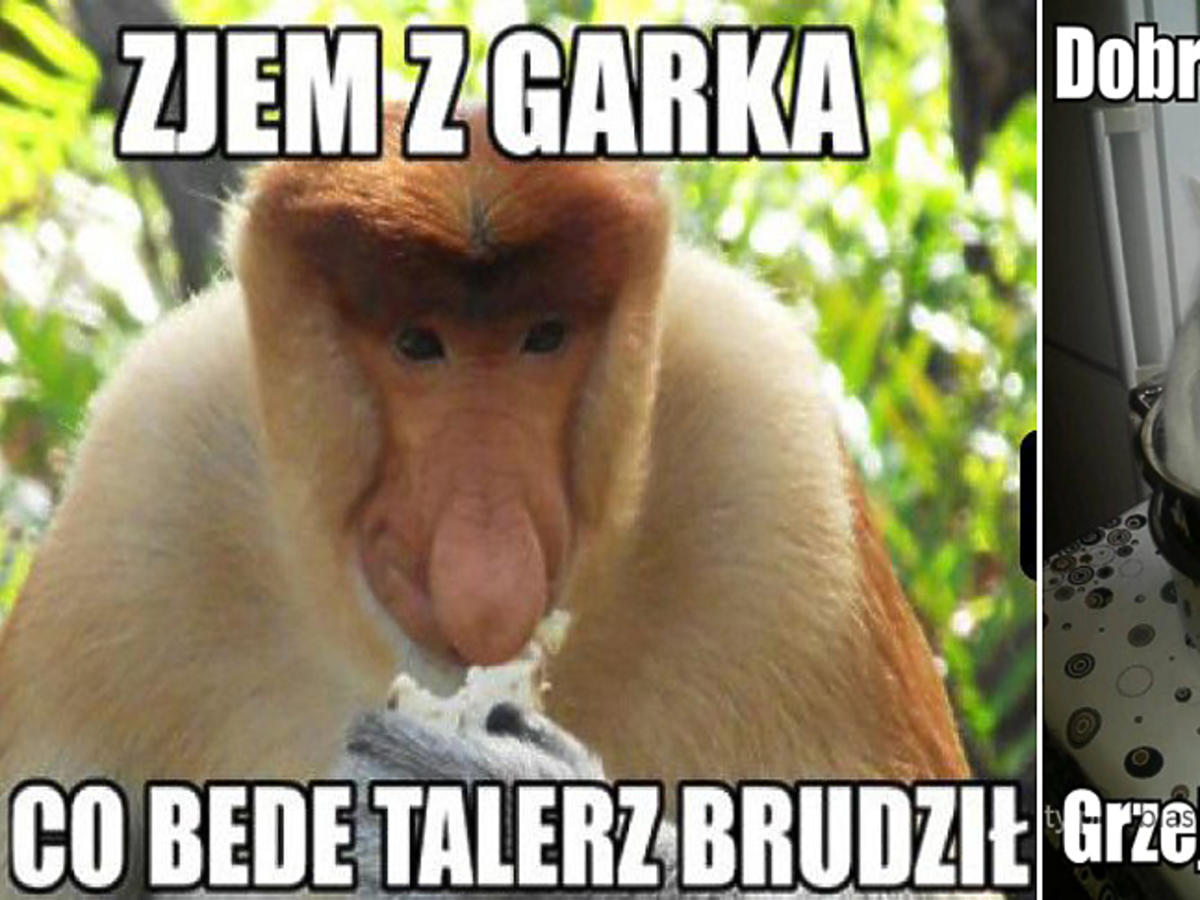 Mem Janusz i Grażyna
