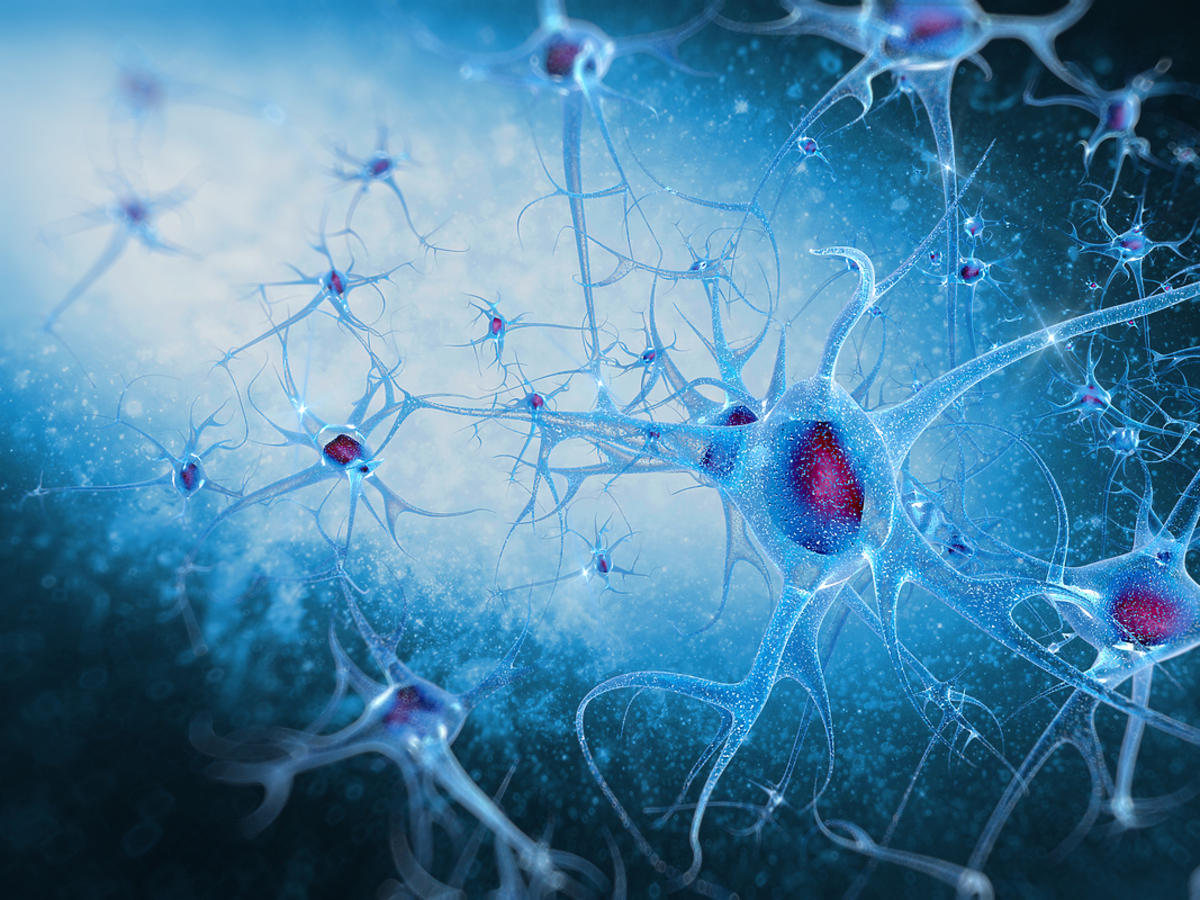 Neurony