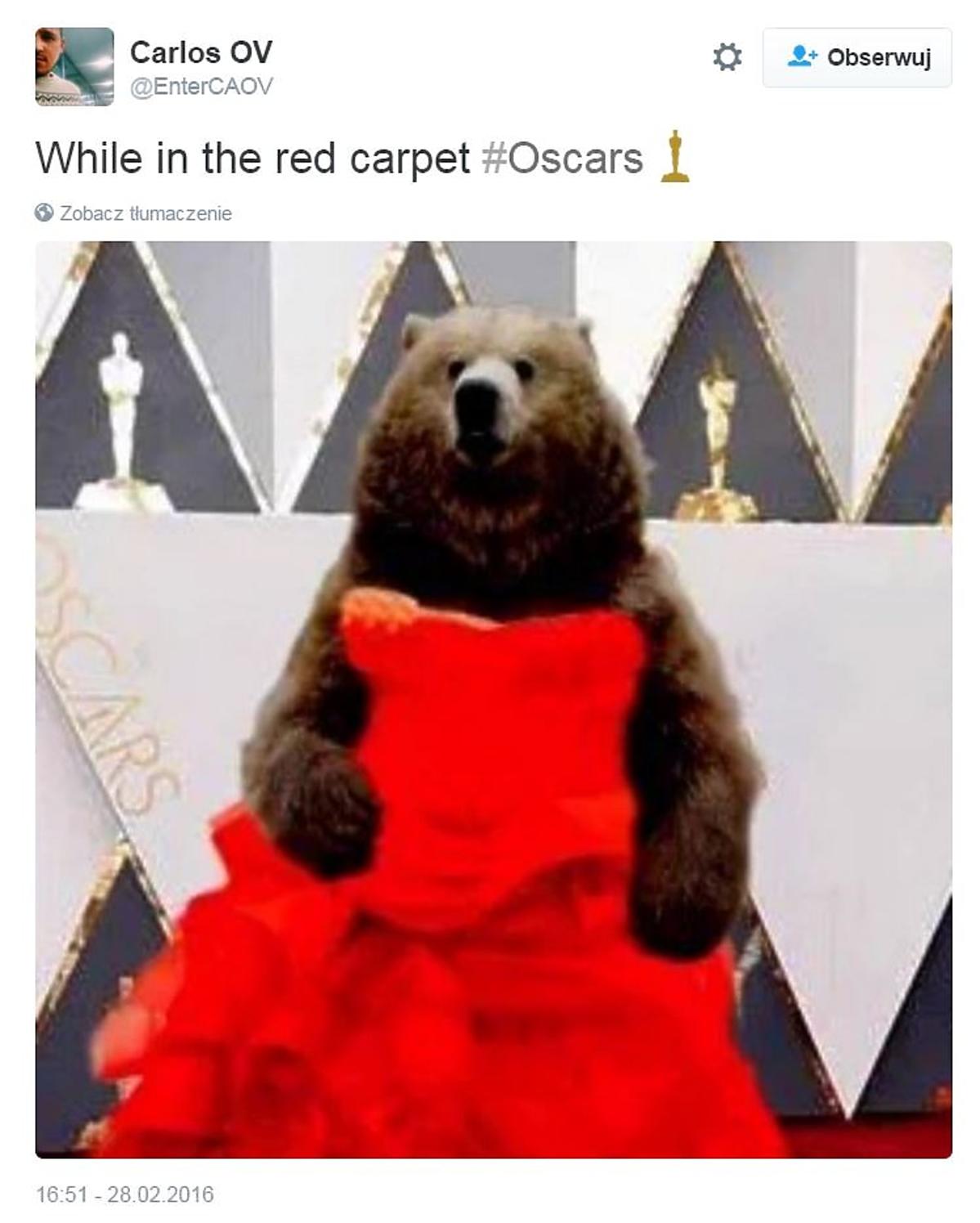 niedźwiedź na Oscarach