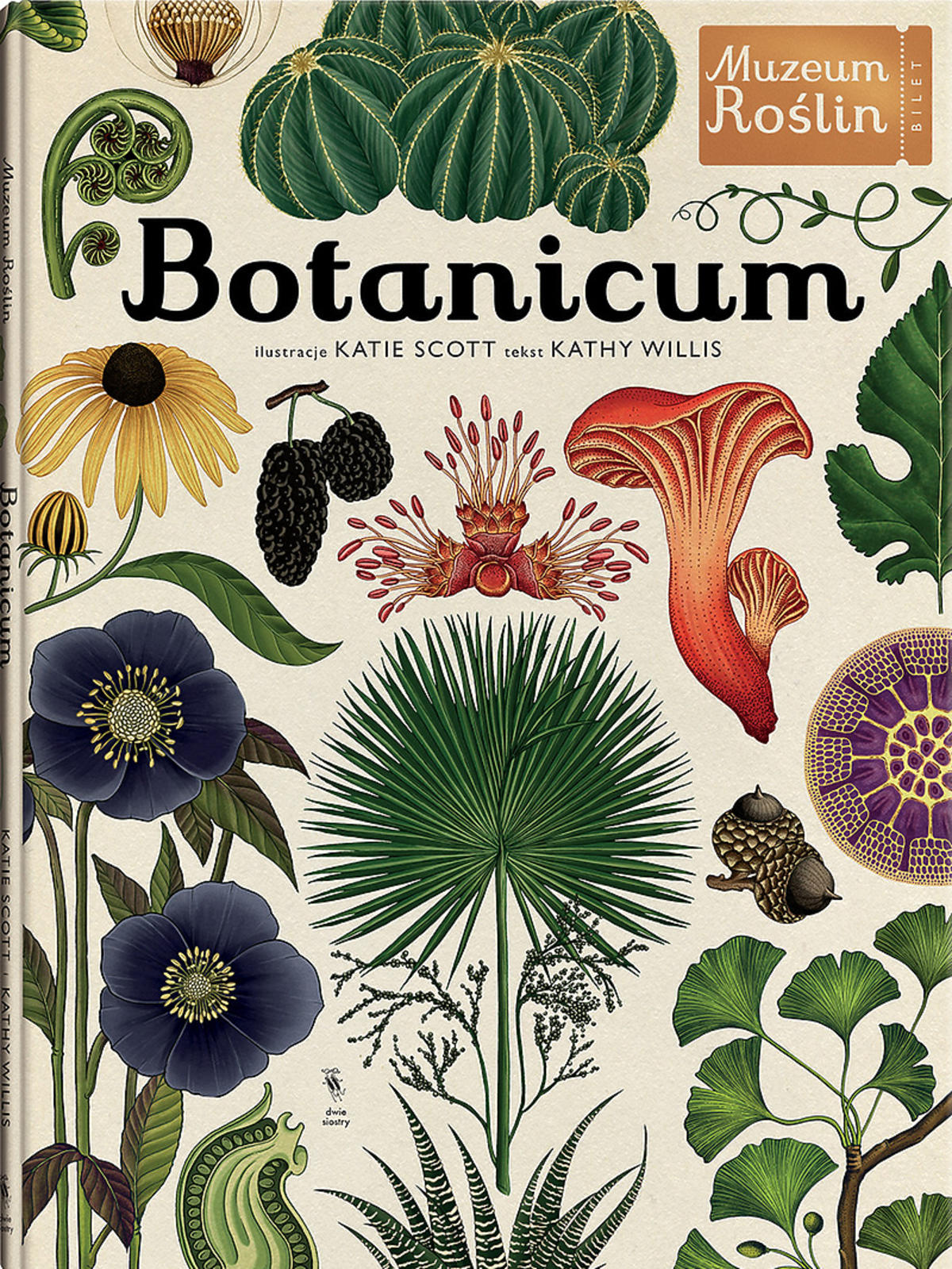 Pięknie ilustrowana książka Botanicum Muzeum Roślin, Wydawnictwo Dwie Siostry