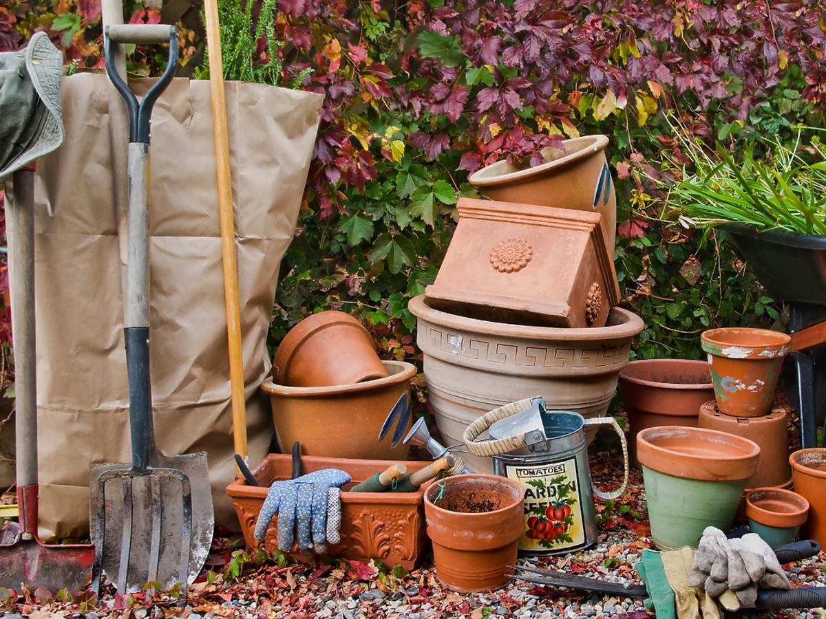 Praca w ogrodzie - jakie urządzenia i gadżety są najbardziej przydatne? 