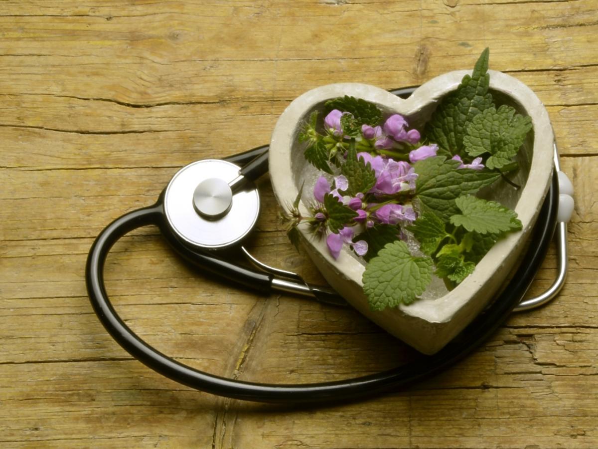 stetoskop i zioła w miseczce w kształcie serca