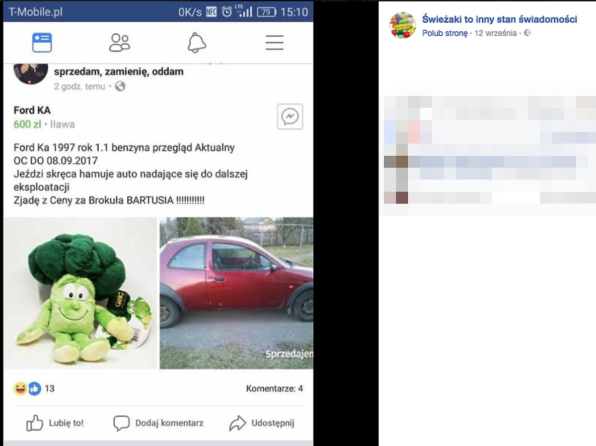 Świeżaki - fenomen Świeżaków z Biedronki