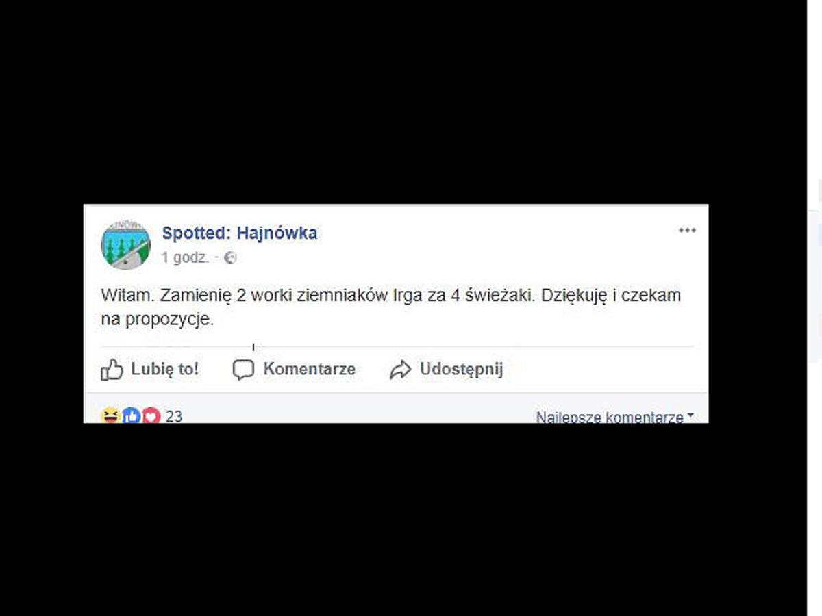 Świeżaki - fenomen Świeżaków z Biedronki