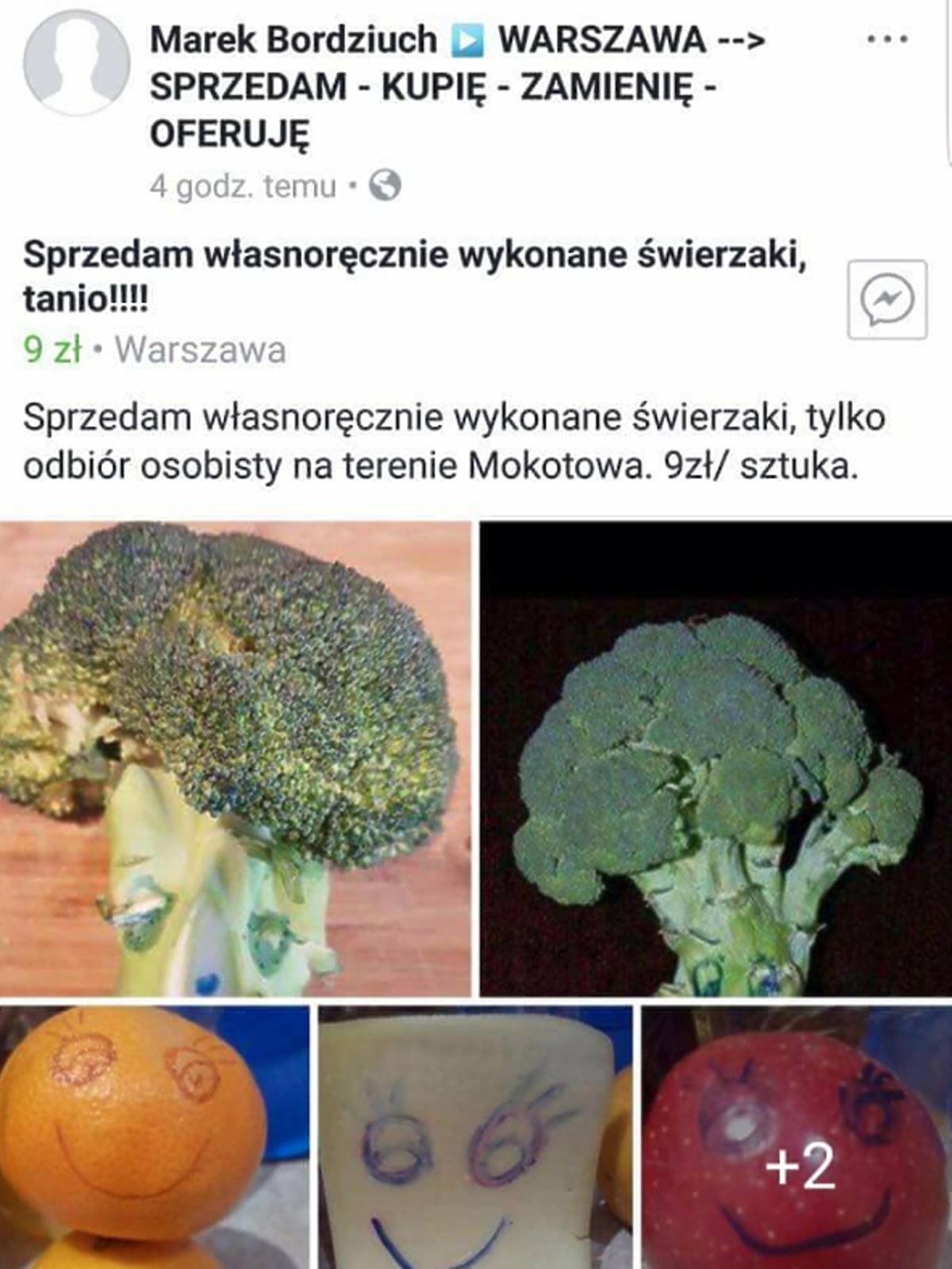 Świeżaki - fenomen Świeżaków z Biedronki
