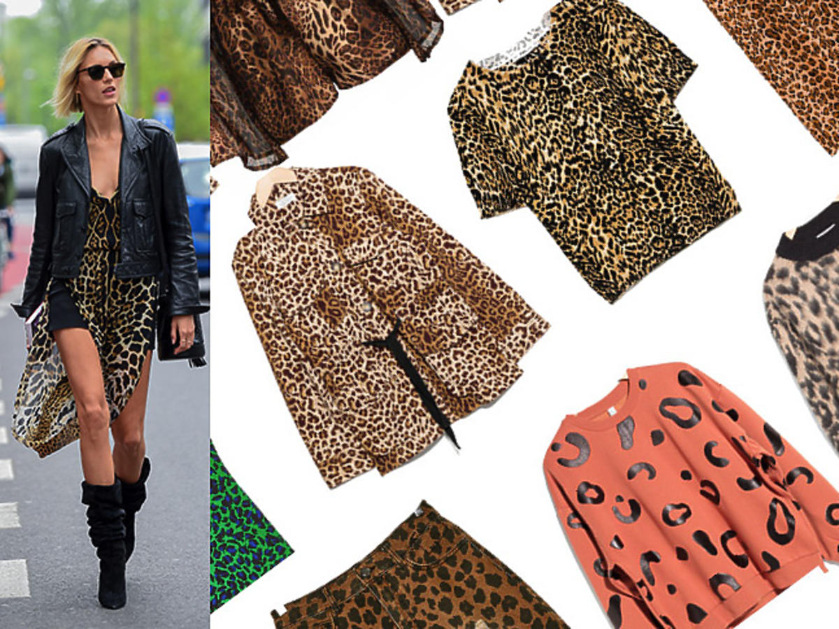 Trend: panterka