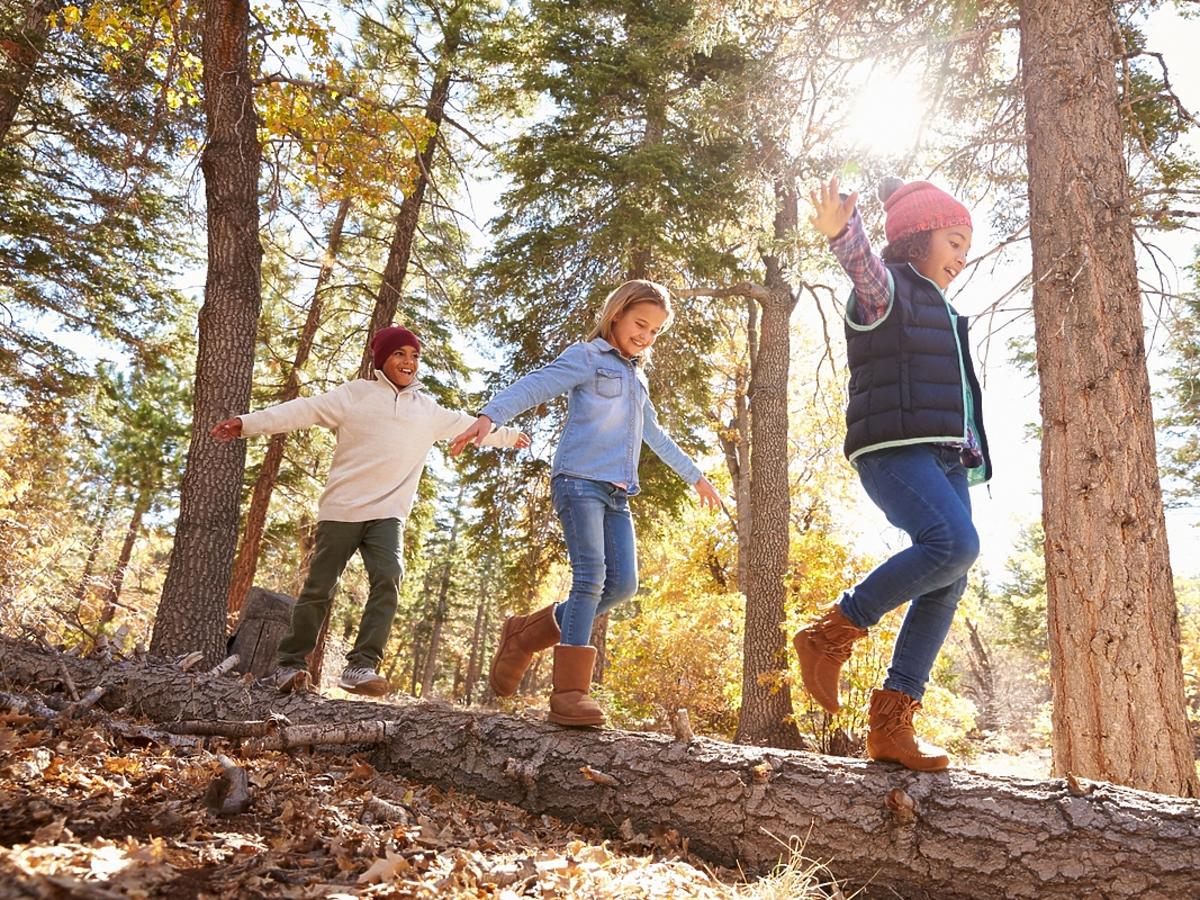 Trójka dzieci bawi się w lesie.
