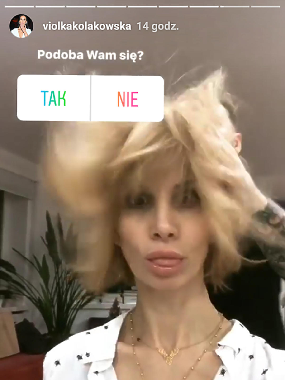 Viola Kołakowska zmieniła kolor włosów