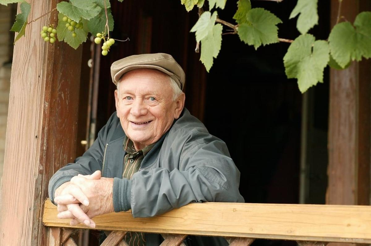 Witold Pyrkosz w serialu 