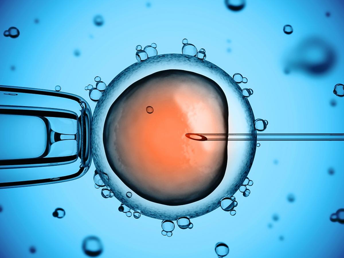 Zapłodnienie in vitro