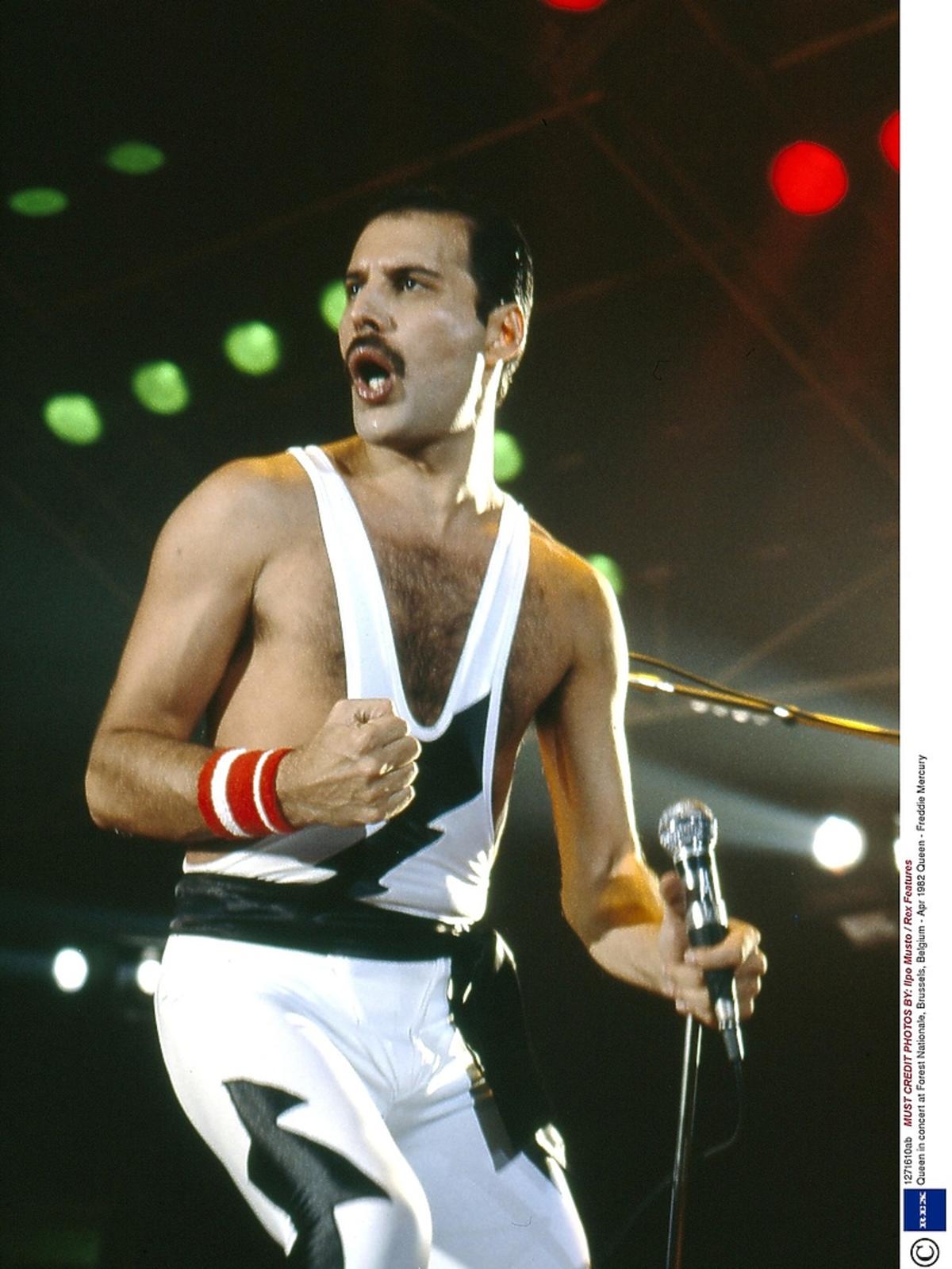 Freddie Mercury, Queen, roznicza śmierci