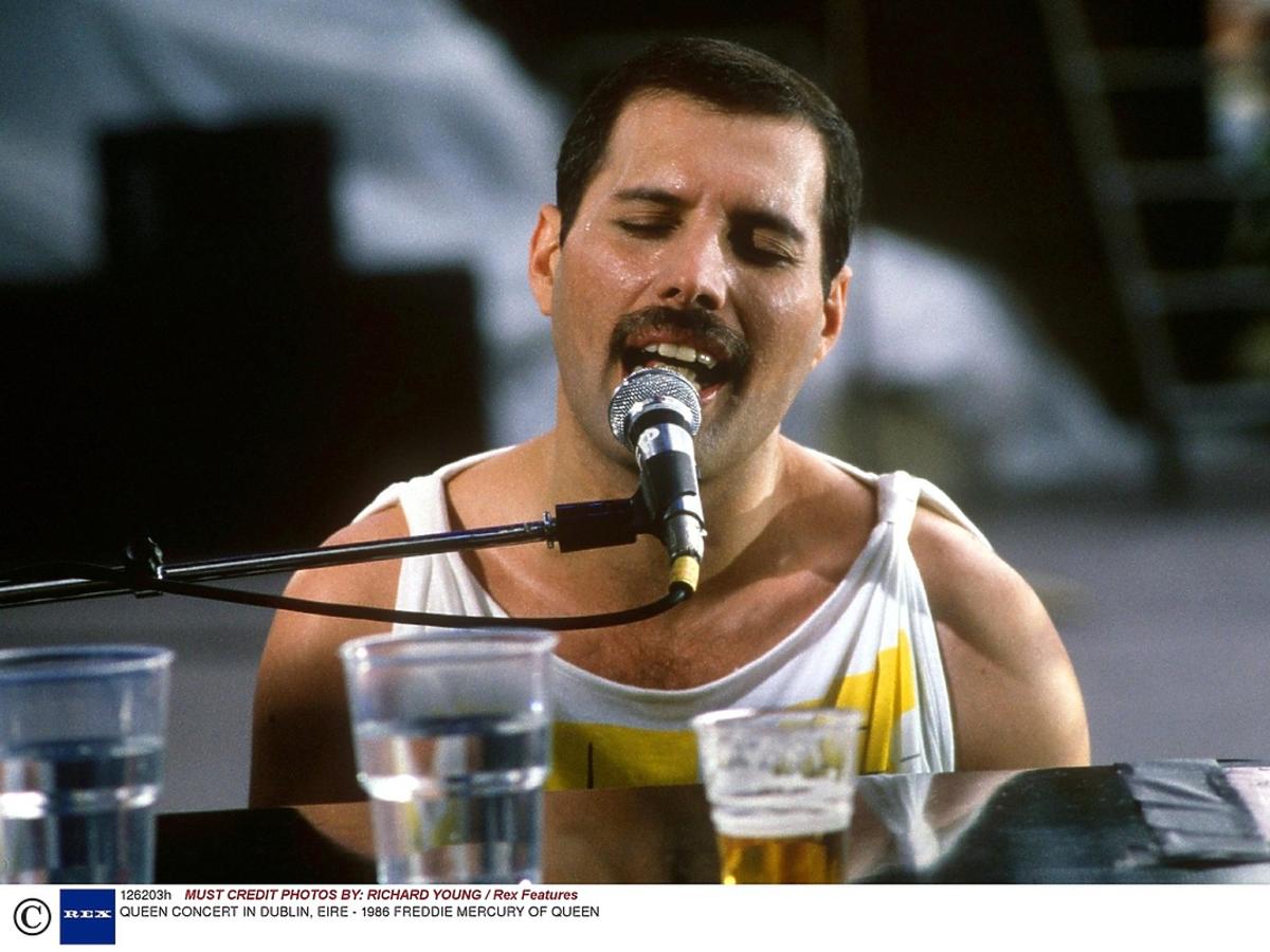 Freddie Mercury, Queen, roznicza śmierci